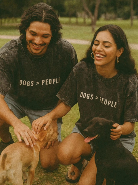 Diwali Gifts for Dog and Cat Lovers in India, From ₹940