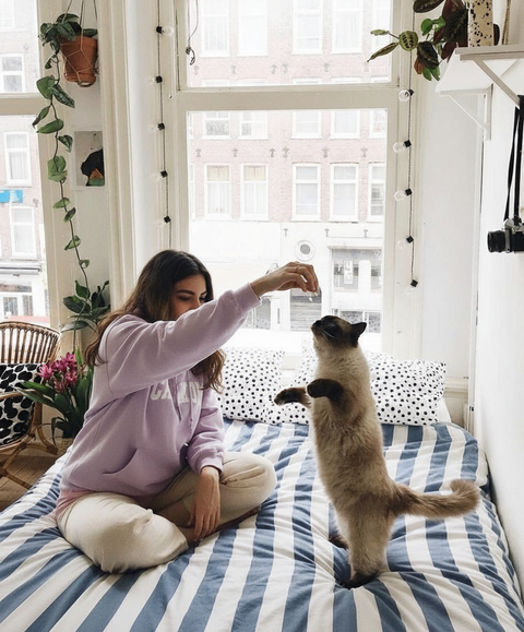 CAT MOM