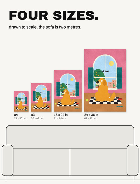 The Golden Retriever at the Window poster in all four sizes, A4, A3, 16 x 24 in and 24 x 36 in, drawn to scale over a two metre sofa