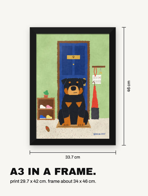 Framed rottweiler poster with its measurements, A3 print in a black frame