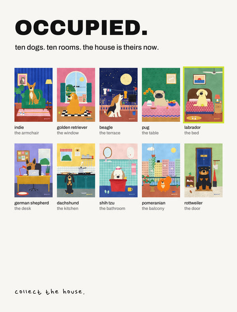 All ten Occupied posters by Hoomans: ten dog breeds, each in a different room of the house