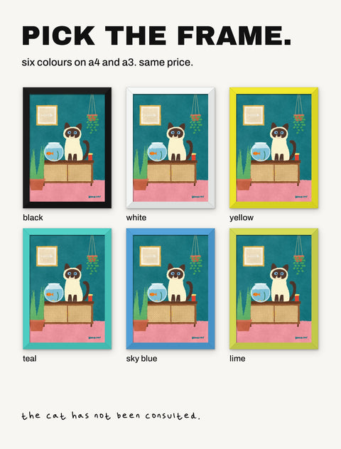 The Siamese by the Fishbowl poster shown in all six frame colours: black, white, yellow, teal, sky blue, lime