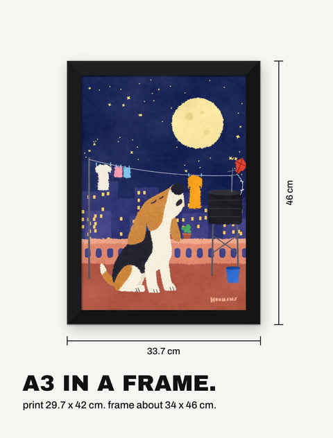 Framed beagle poster with its measurements, A3 print in a black frame