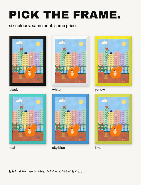 The pomeranian poster shown in all six frame colours: black, white, yellow, teal, sky blue, lime