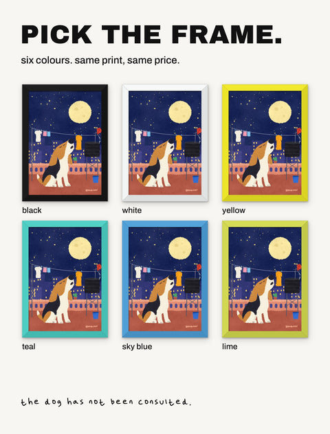 The beagle poster shown in all six frame colours: black, white, yellow, teal, sky blue, lime