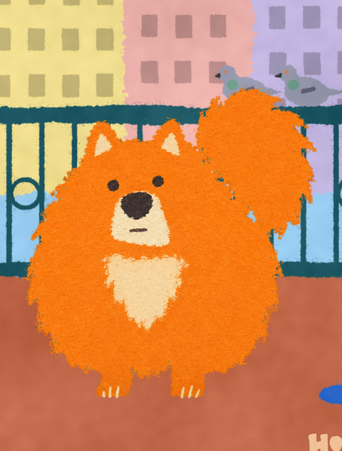 Close-up of the pomeranian in the poster, flat chalky painted texture