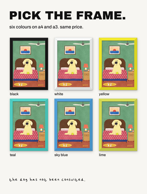 The Labrador on the Bed poster shown in all six frame colours: black, white, yellow, teal, sky blue, lime