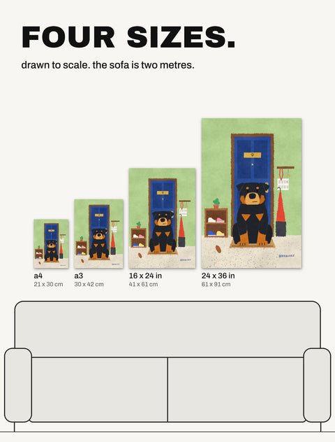 The Rottweiler at the Door poster in all four sizes, A4, A3, 16 x 24 in and 24 x 36 in, drawn to scale over a two metre sofa