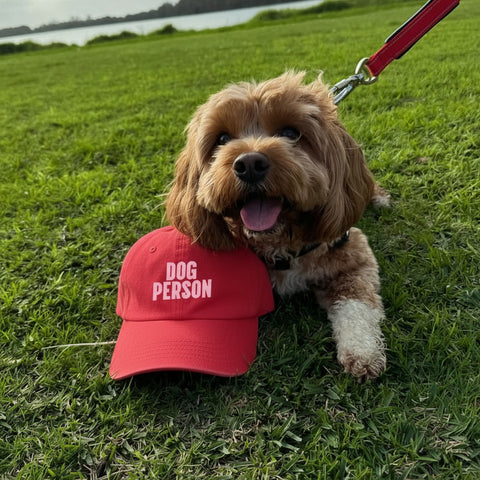 Dog Person Cap