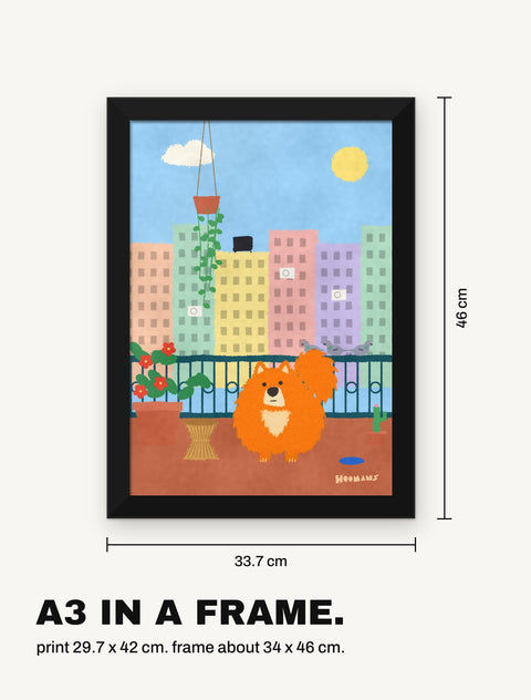 Framed pomeranian poster with its measurements, A3 print in a black frame