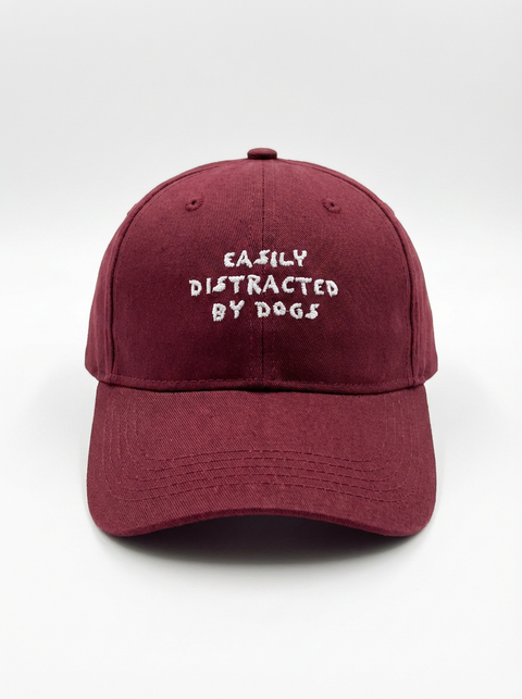 Easily Distracted by Dogs cap worn by model – alternate – Hoomans