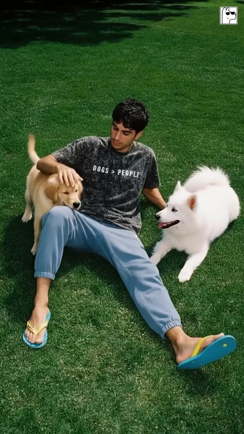 Real customers in the Dogs > People acid wash tee playing with a samoyed and a golden retriever, Hoomans India