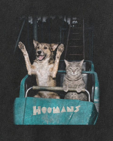 Close-up of the ride photo print: indie dog with paws in the air, tabby cat gripping the lap bar, hoomans wordmark on the coaster car, faded into the vintage wash